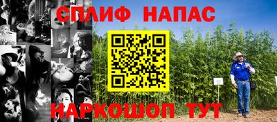 сатива Бузулук