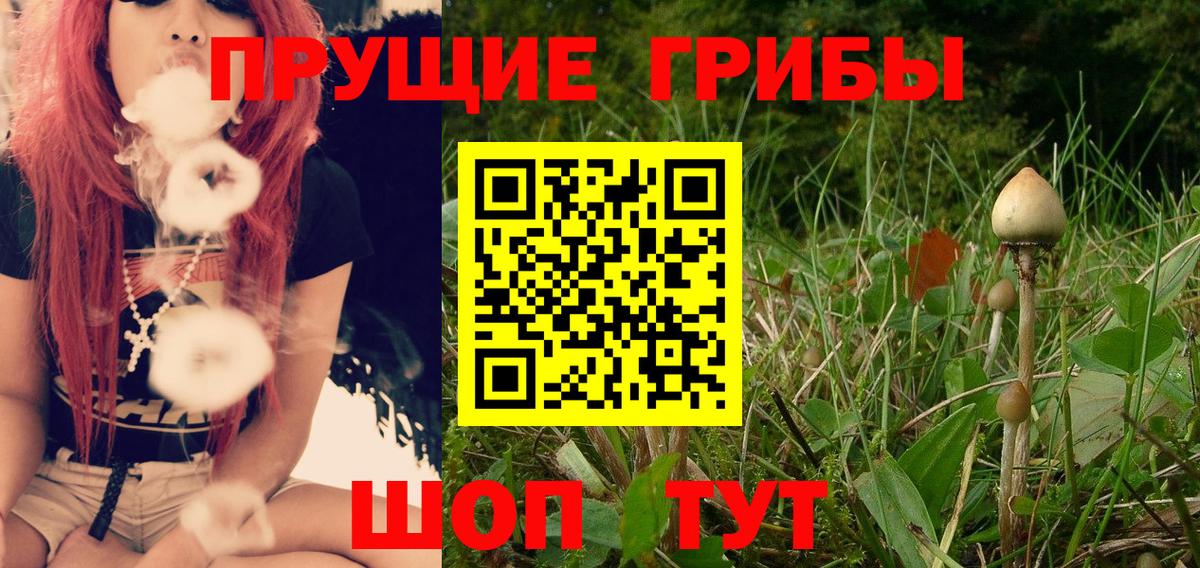 Псилоцибиновые грибы Psilocybe  Псилоцибиновые грибы Psilocybine cubensis  Вход с VPN  Биробиджан 